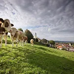 Allgaeu Hotel Bad Grönenbach
